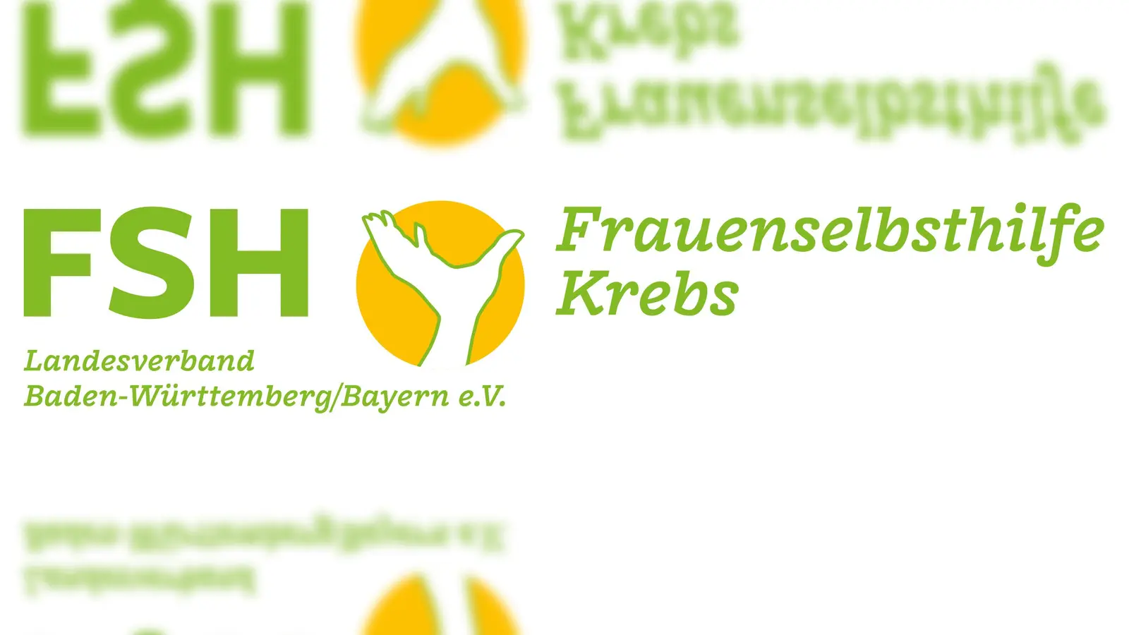  Die Leonberger Gruppe ist Teil des Landesverbands Baden-Württemberg / Bayern e. V. (Bild: Frauenselbsthilfe Krebs, LV Ba-Wü/By e. V.)