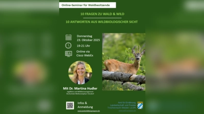 Flyer zur Veranstaltung 10 Fragen zu Wald und Wild (Bild: Judith Zeitler)