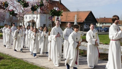 Die Ursensollener Ministranten nahmen auch dieses Jahr mit ihren imposanten Riesen-Palmbuschen an der Palmprozession teil.  (Bild: Anni Lehmeier )