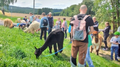 Wandergruppe mit den Alpakas durch die Natur. (Bild: Alexander Hörl)